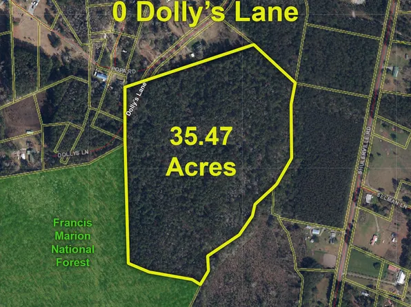 0 Dollys Ln, Jamestown, SC 29453