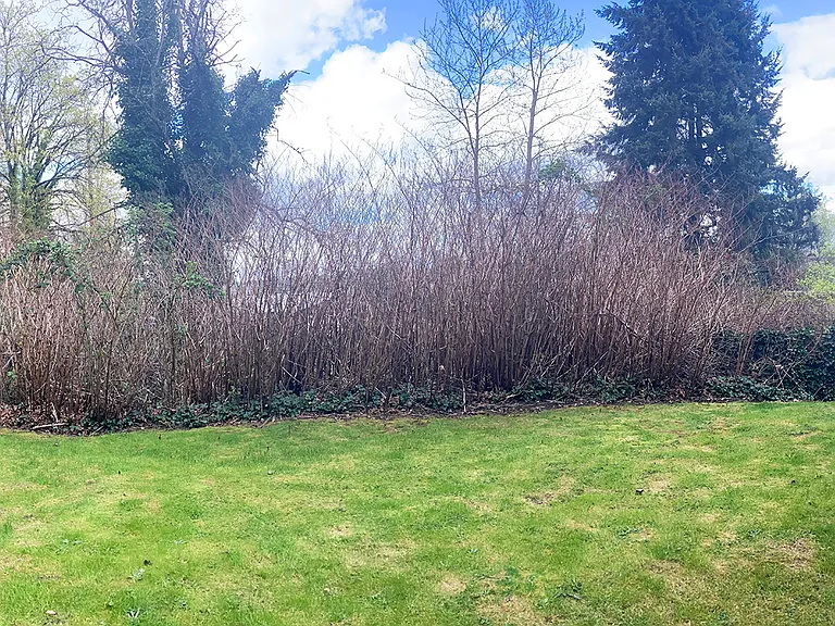 6021 NW 60th Ave #A — Photo 32