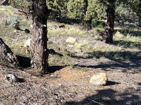 Harbor View Dr Unit 1, Weed, CA 96094