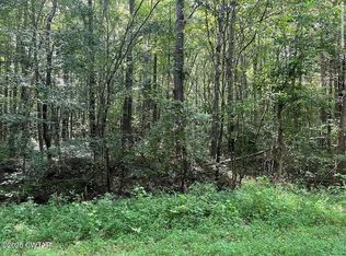 1464 Coxburg Rd N, Holladay, TN 38341