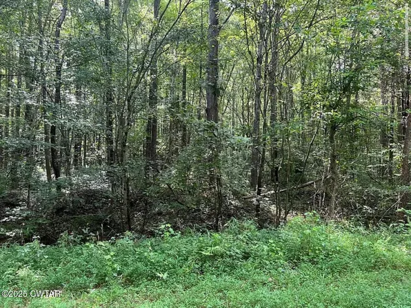 1464 Coxburg Rd N, Holladay, TN 38341