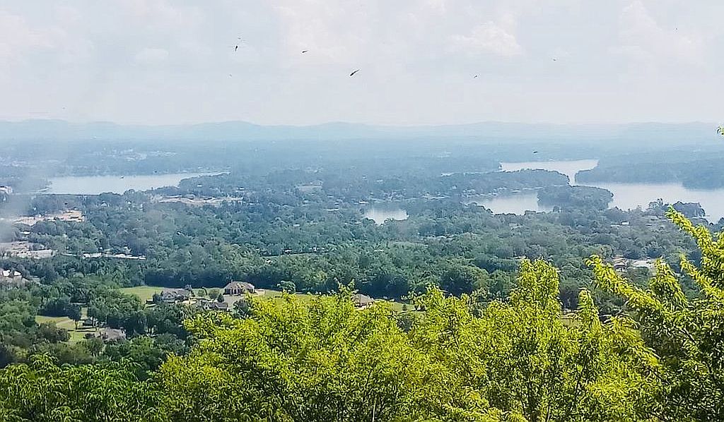 896 Mount Riante Rd, Hot Springs, AR 71913 Zillow