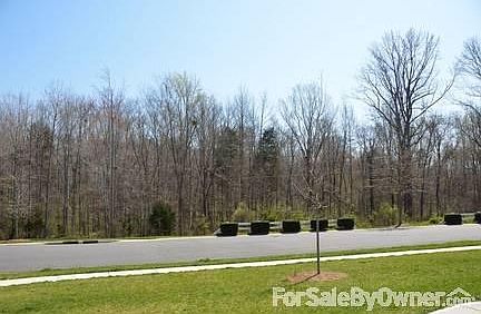 Looking Out the Front of the House