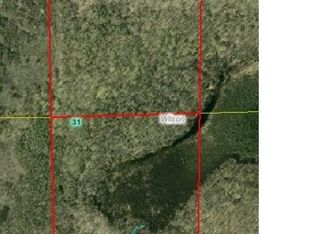 0 Hedman Rd, Rice Lake, WI 54868