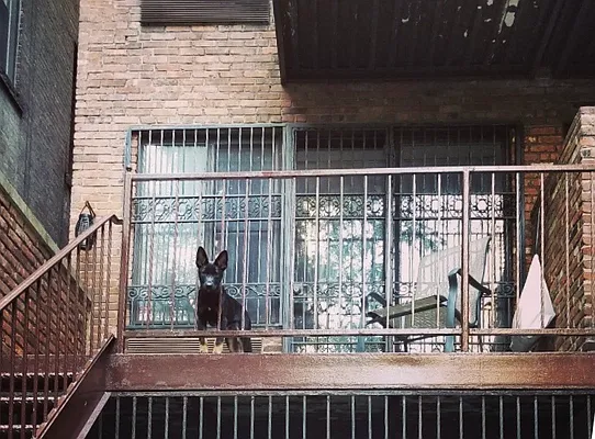 Rented by Cayenne Realty Group | media 27