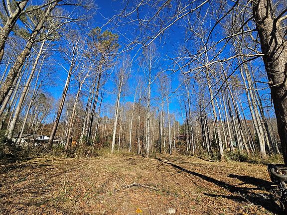 3rd image of 0 Mountain Meadows Dr W