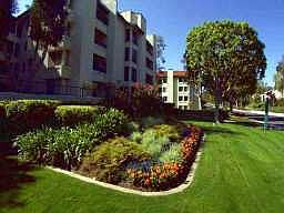 2nd image of 11255 Tierrasanta Blvd Unit 84