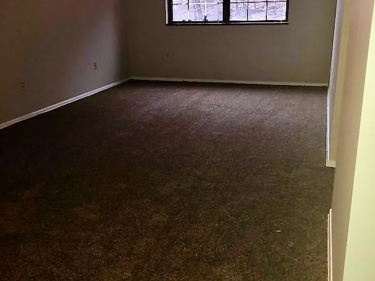 230 Oakwood Ave — Photo 8