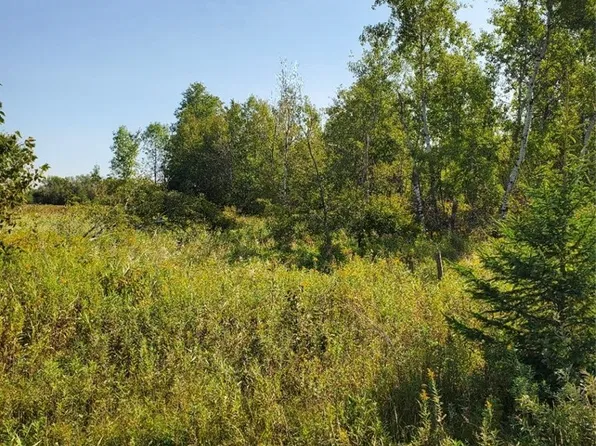 0 330th Street, Holcombe, WI 54745