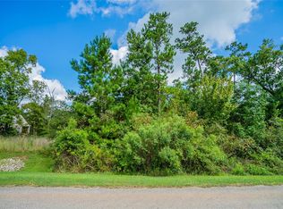 1619 Topaz Trl, Willis, TX 77378