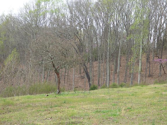 3rd image of Skyline Dr