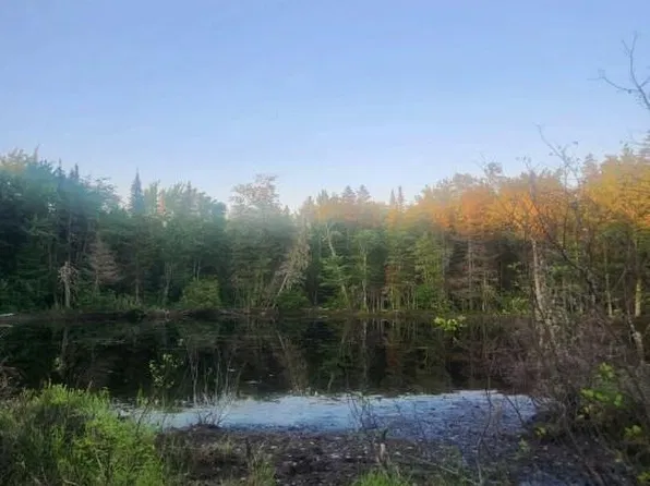 37.8-HEC Bettsburg Rd, Upper Miramichi, NB E9C 2C2