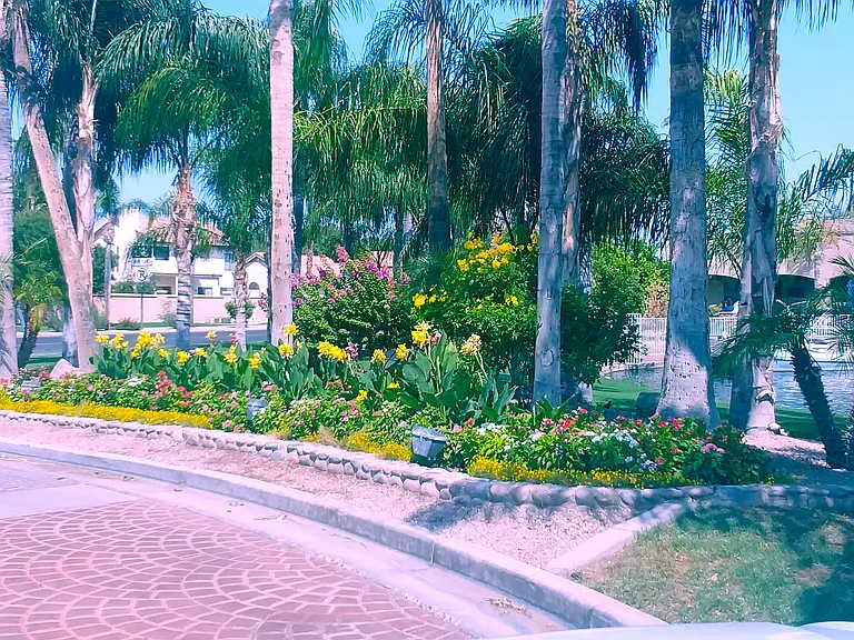 1126 W Grand Caymen Dr — Photo 41