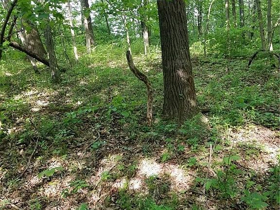 4th image of 4950 S County Road 240 W
