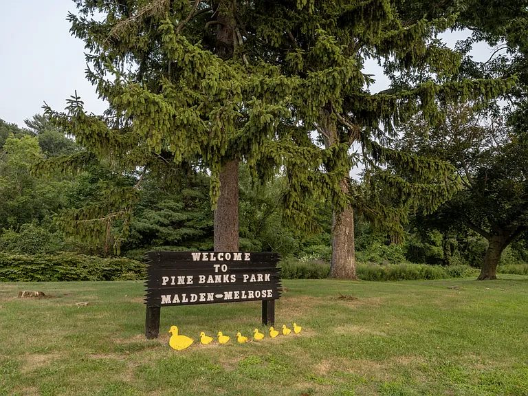 Pine Banks Park