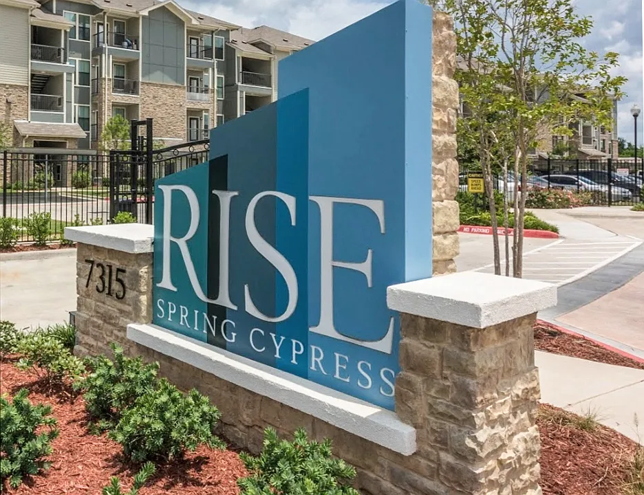 Rise Spring Cypress