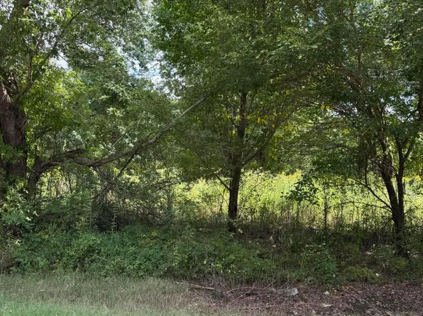 333 Charlie Lewis Rd, Trenton, TN 38382