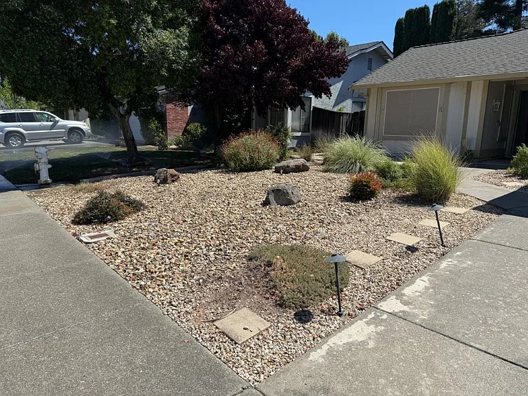 467 Lupine Cir — Photo 3