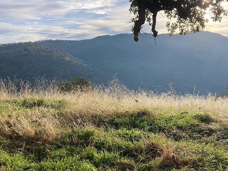 Hiking trails and views