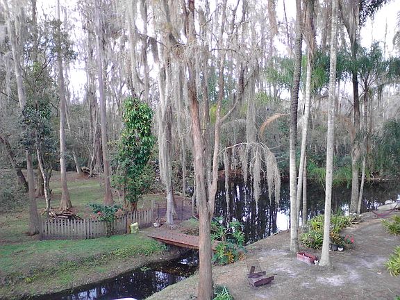 Private Pond in backyard