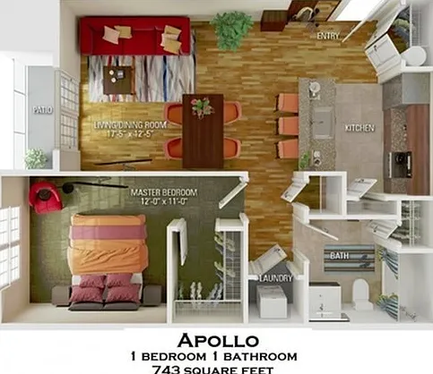 apollo apollo