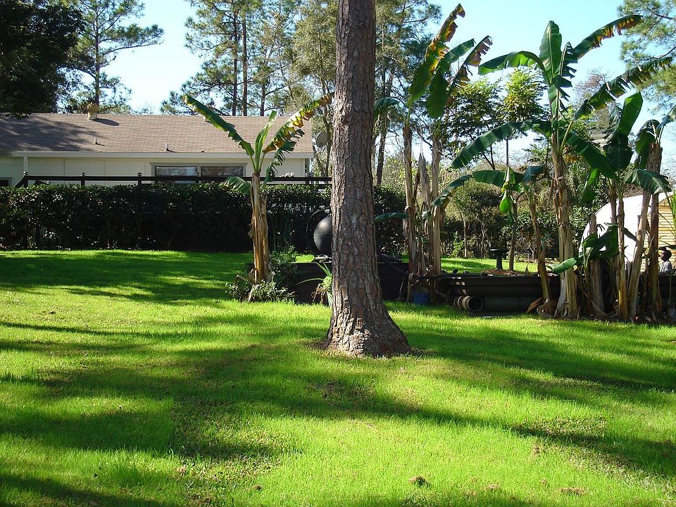 BACKYARD VIEW OF HOME