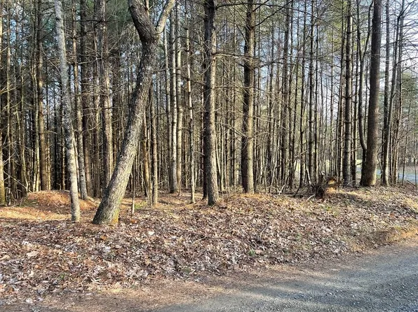 40 Chestnut Falls Ln, Galax, VA 24333