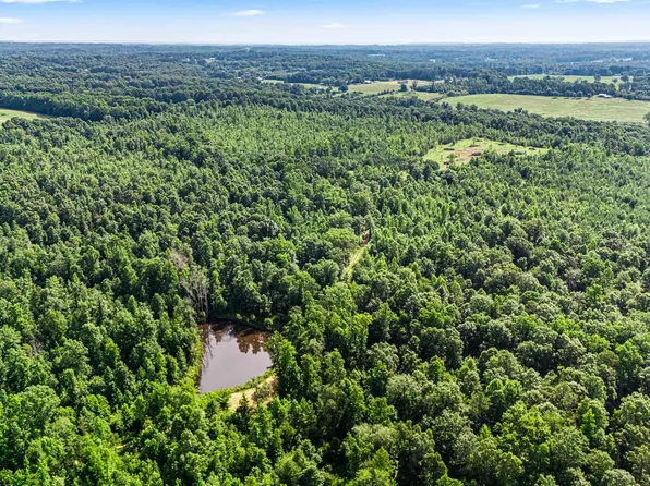 Eva Rd, Vinemont, AL 35179