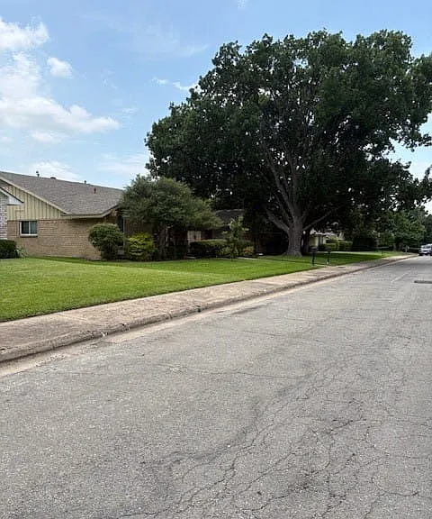 beautiful, quiet street with mature trees