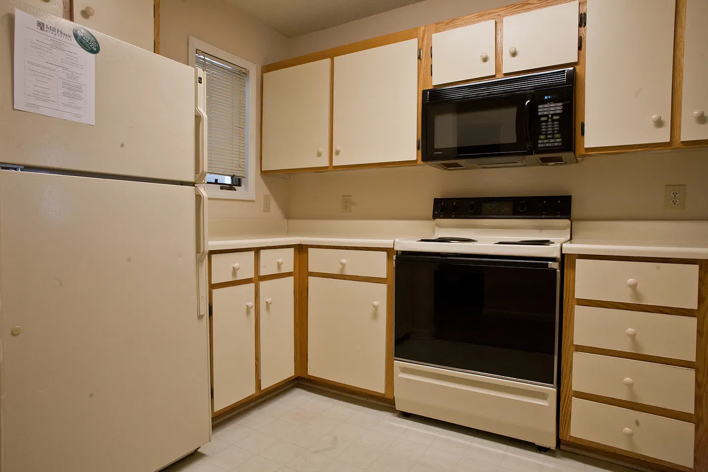 Wonderful 4BR garden apartment a few blocks from UNC. On the bus line! — Photo 3
