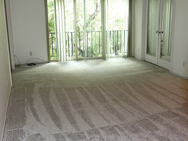 Living/Din Room