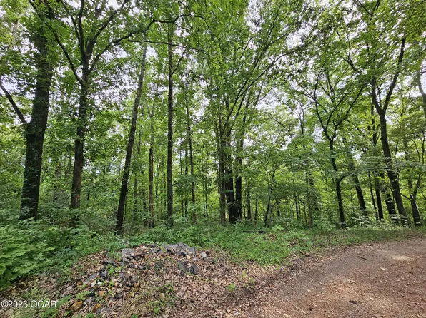 Jesse James Rd, Pineville, MO 64856