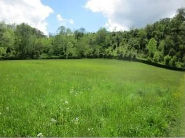 Tbd Swinging Bridge Rd, Mendota, VA 24270