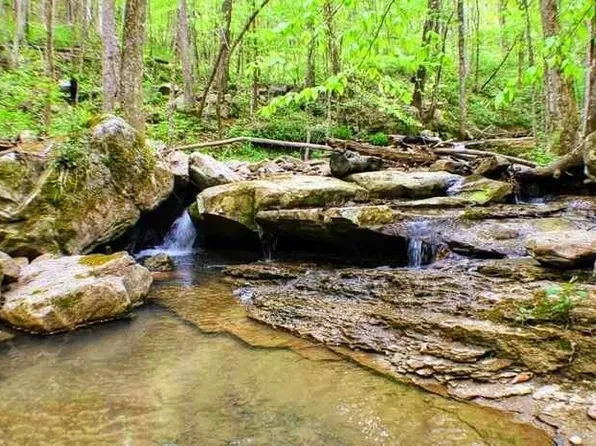 Side Cumberland Mountain, Dunlap, TN 37327