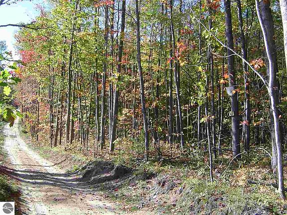 2nd image of 0 Rogers Rd