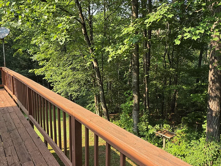 3115 Dogwood Ln — Photo 46