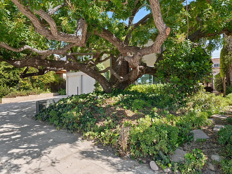 3821 Albatross St — Photo 51