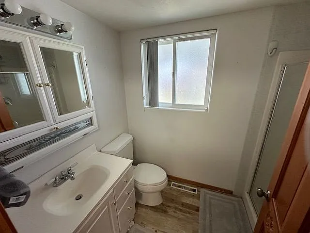 Full bathroom featuring a vanity, shower, window, and updated flooring