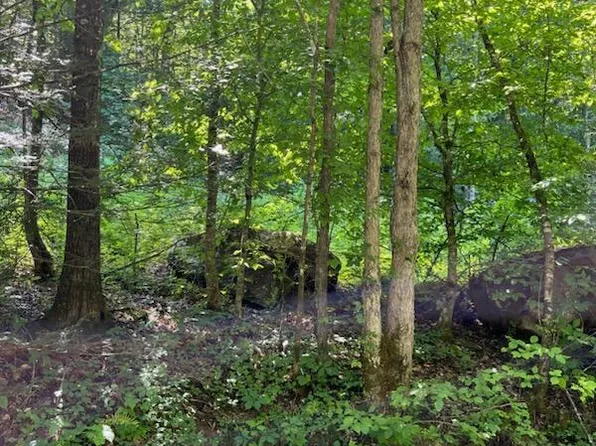 Big Four Rd Tract 2, La Follette, TN 37766