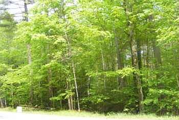 2nd image of 56 Ash Frasier Rd