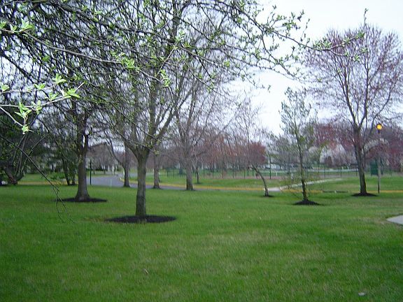 Open spaces