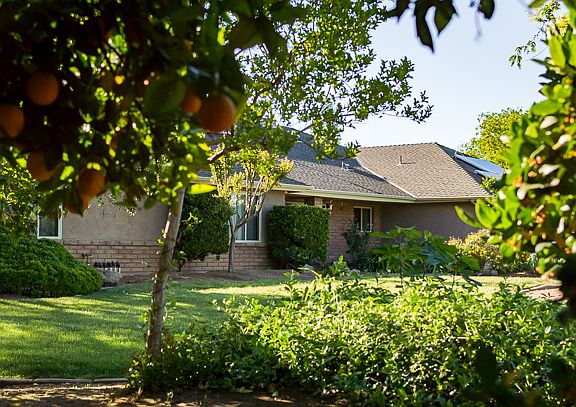 Front Yard looking S-East