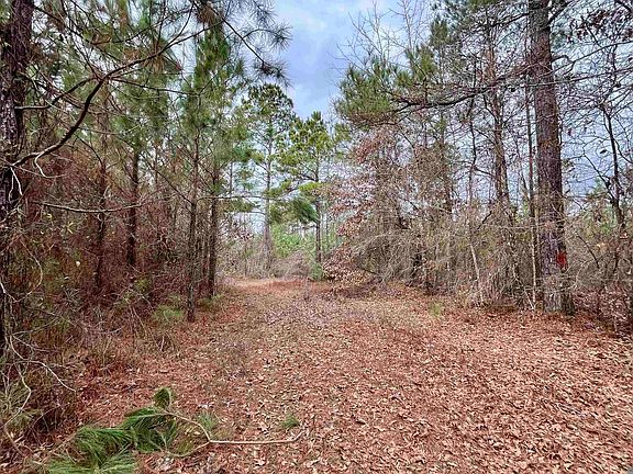 4th image of 2 Arkansas Rd