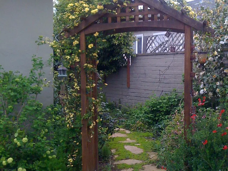 backyard/sideyard