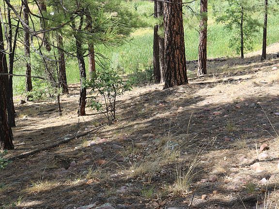 3rd image of 570 S ROCKCRESS Lane #16