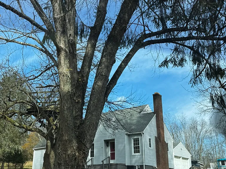 78 Nichols Rd — Photo 13