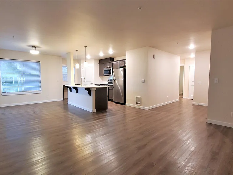 Modern Open Layout