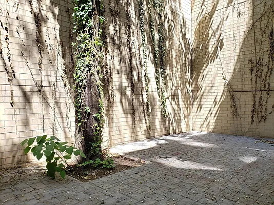 Rented by Compass | media 9