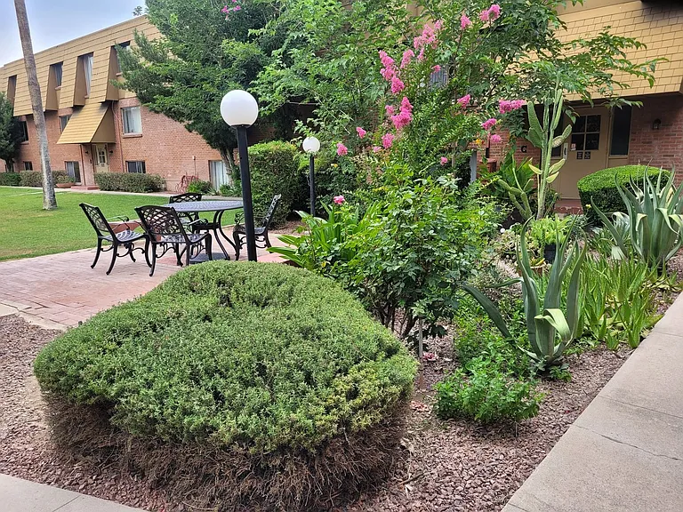 BELLA FLORA — Photo 22