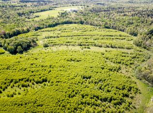 Lot 17 Danforth Rd, Carroll Plt, ME 04487